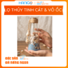 Lọ Thủy Tinh Vỏ Ốc và Cát - Lớn - HANIGO